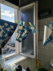 Werke der Cyanotypie beim Trocknen