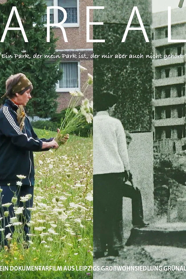 Bild zu: AREAL - Bildvergrößerung